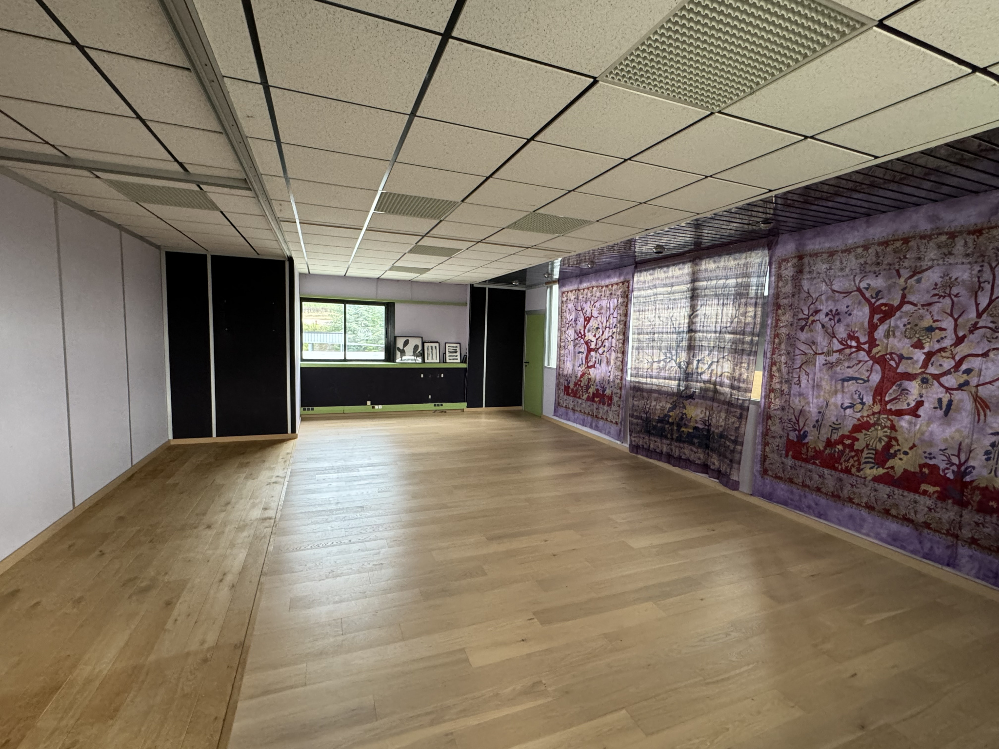 Local Professionnel  - 200m² - BOULIEU LES ANNONAY