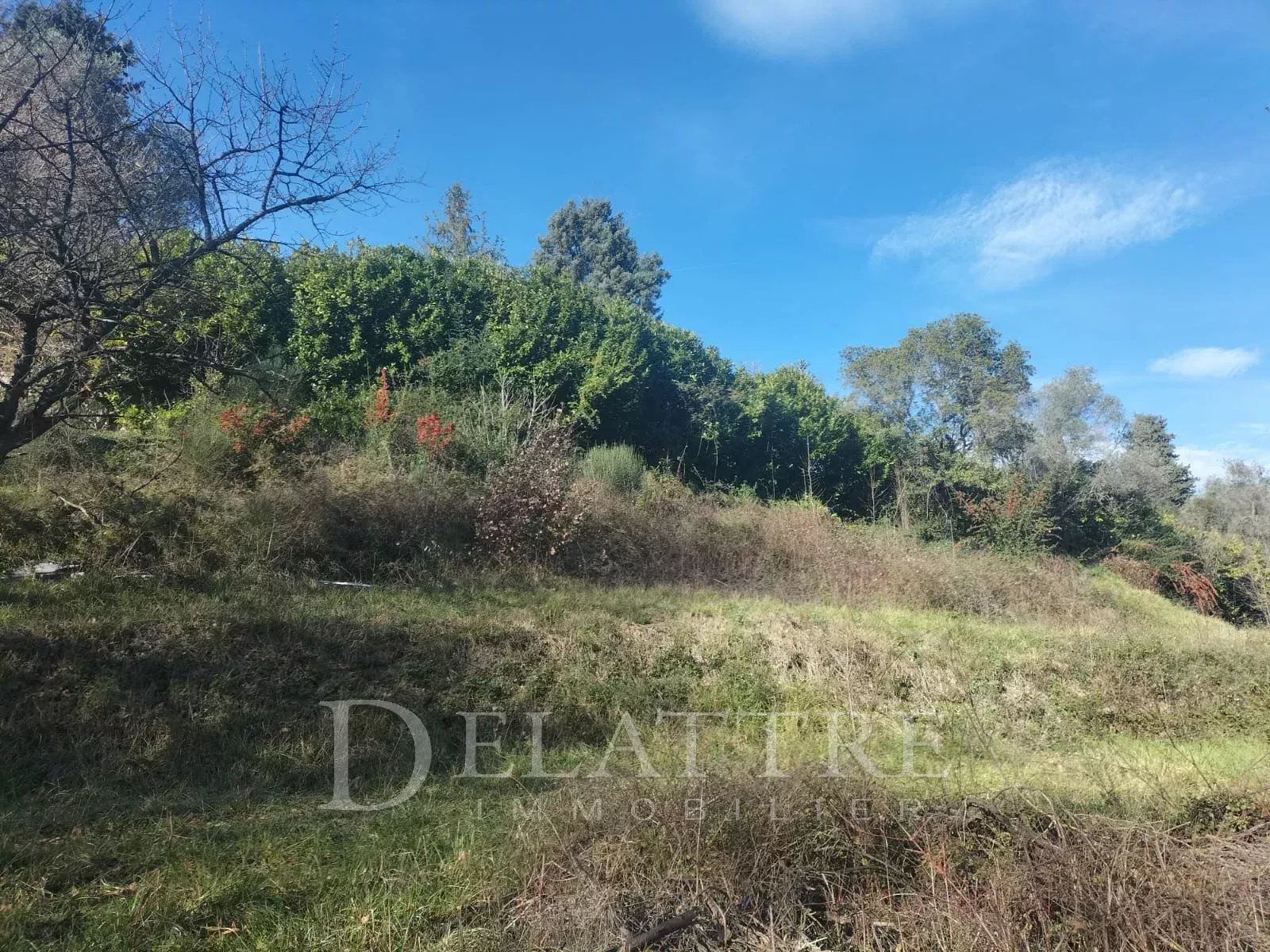 Terrain  - 1 170m² - GRASSE