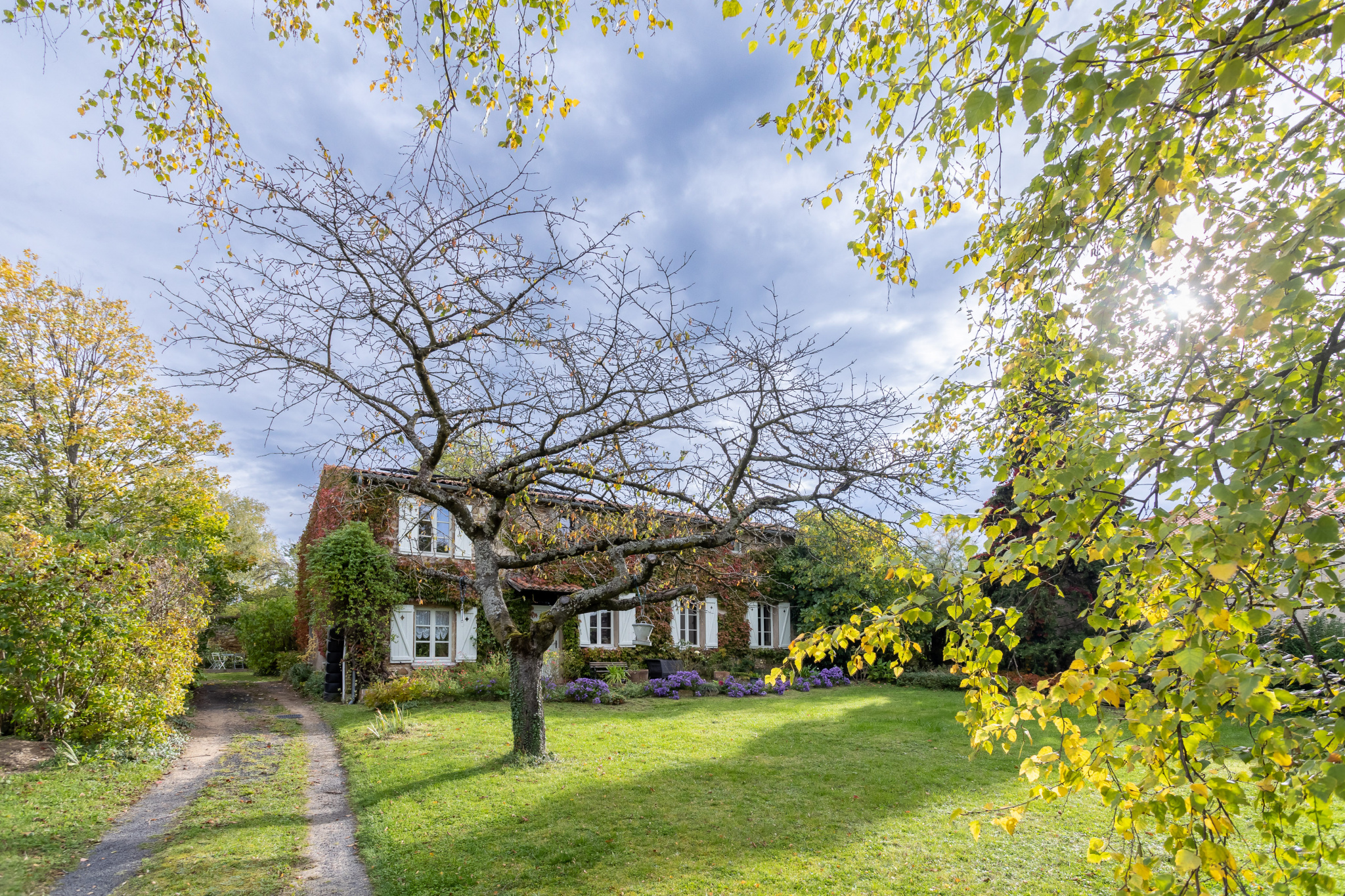 Maison 7 pièces - 223m² - VIC LE COMTE