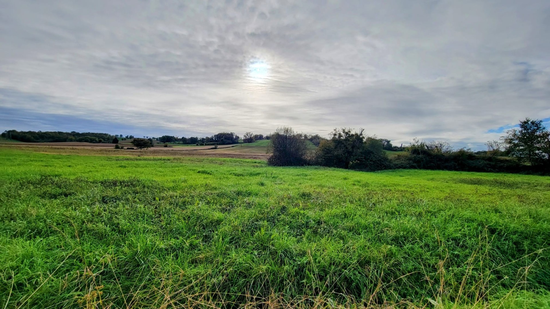 Terrain  - MARCIAC