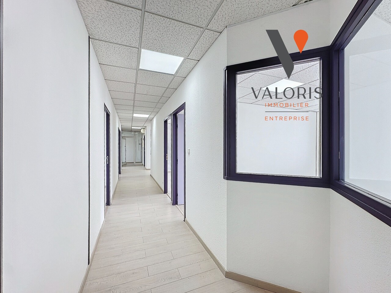 Local Professionnel  - 245m² - GRENOBLE