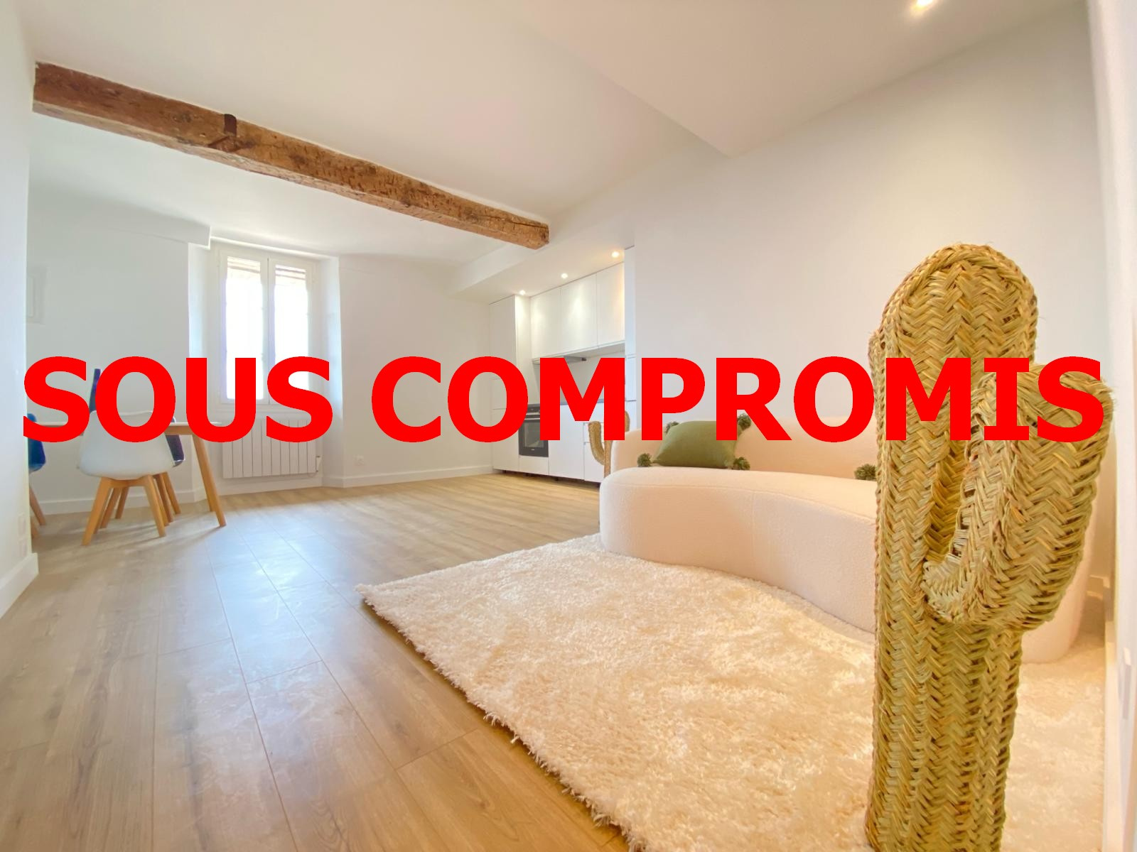 Appartement 2 pièces - 41m² - BIOT