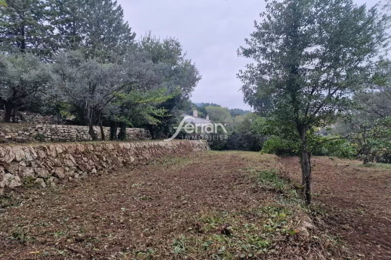 Terrain  - 1 300m² - DRAGUIGNAN