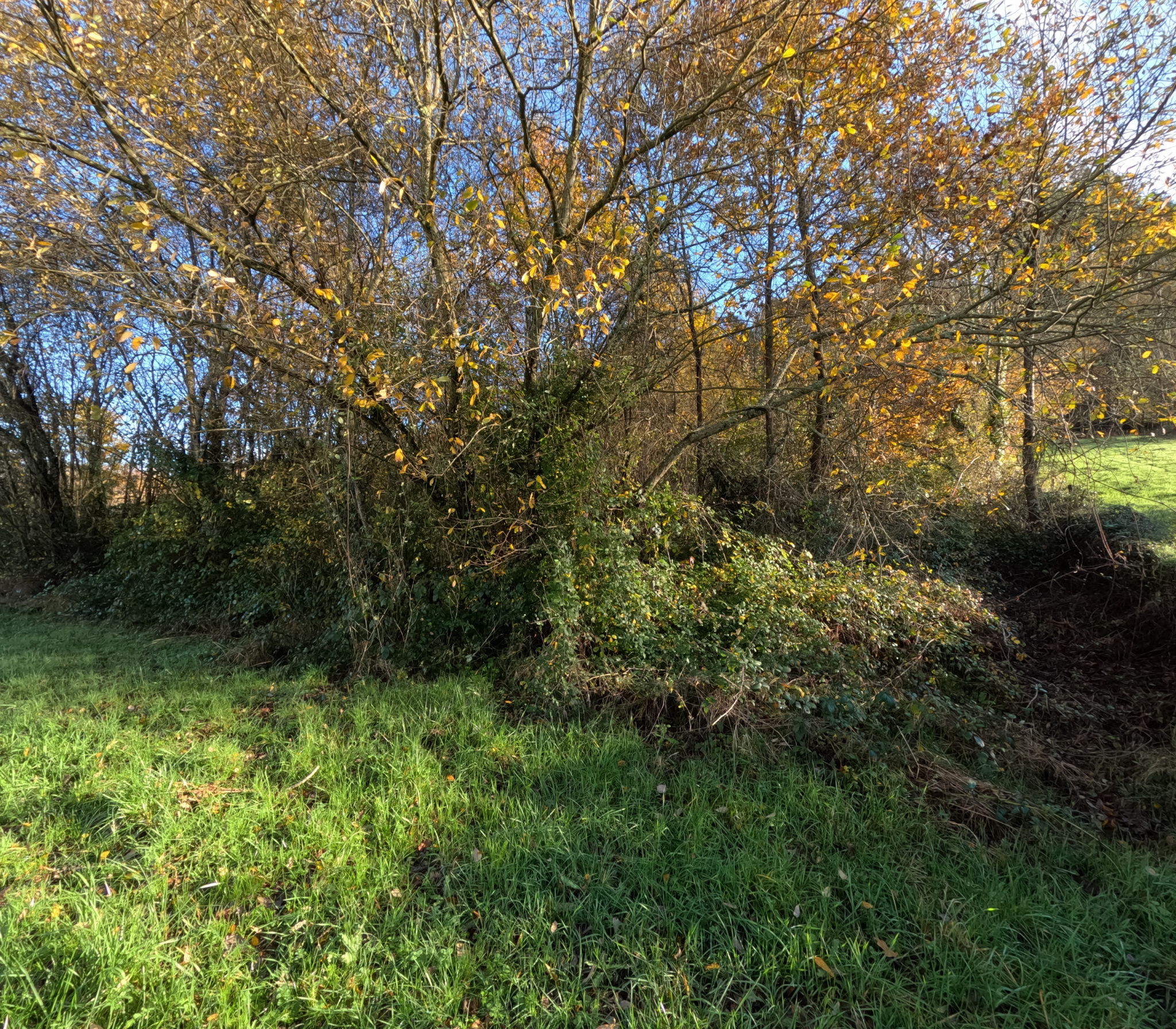 Terrain  - 1 886m² - BRIVE LA GAILLARDE