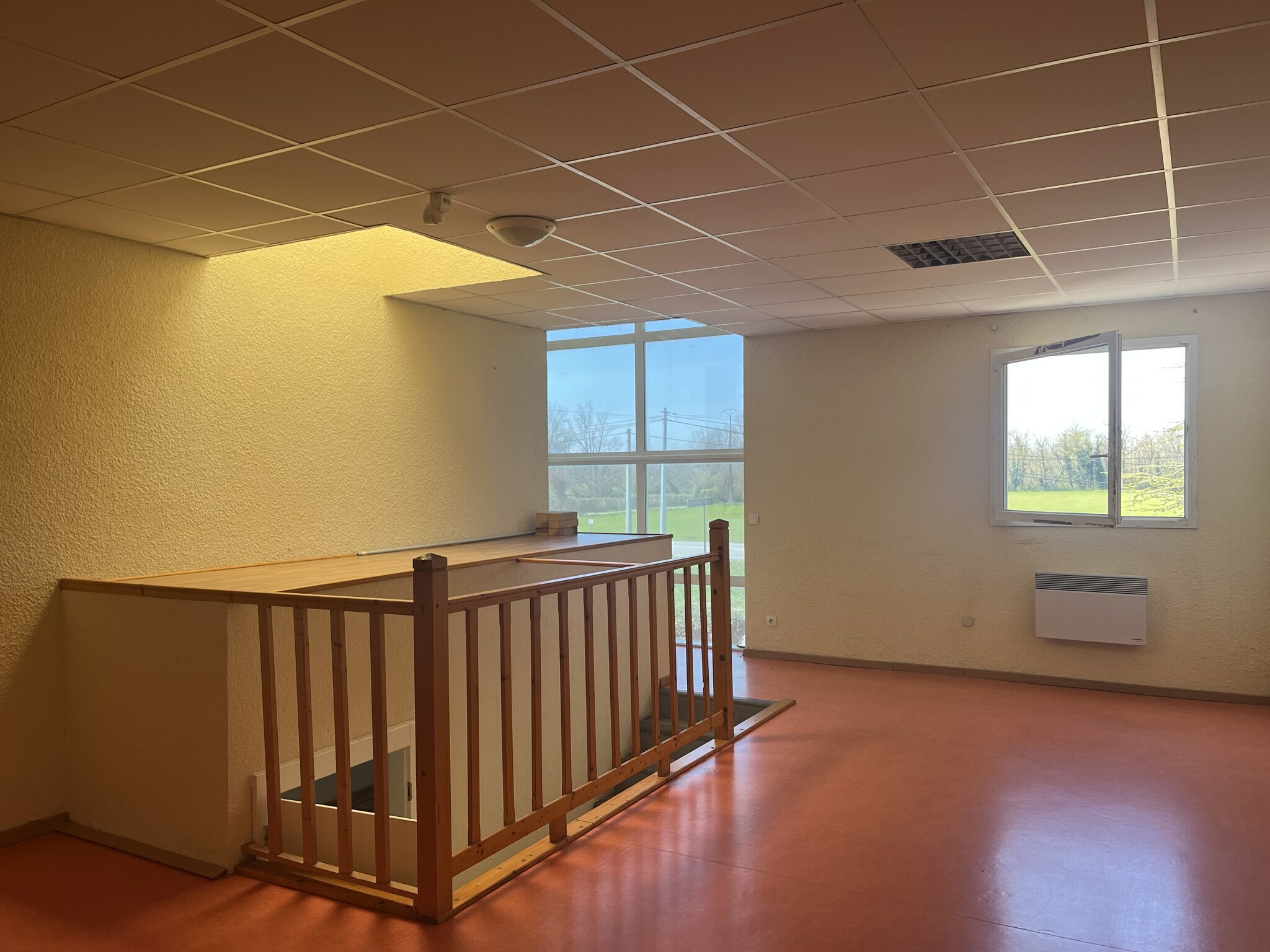 Local Professionnel  - 44m² - VILLEMOIRIEU