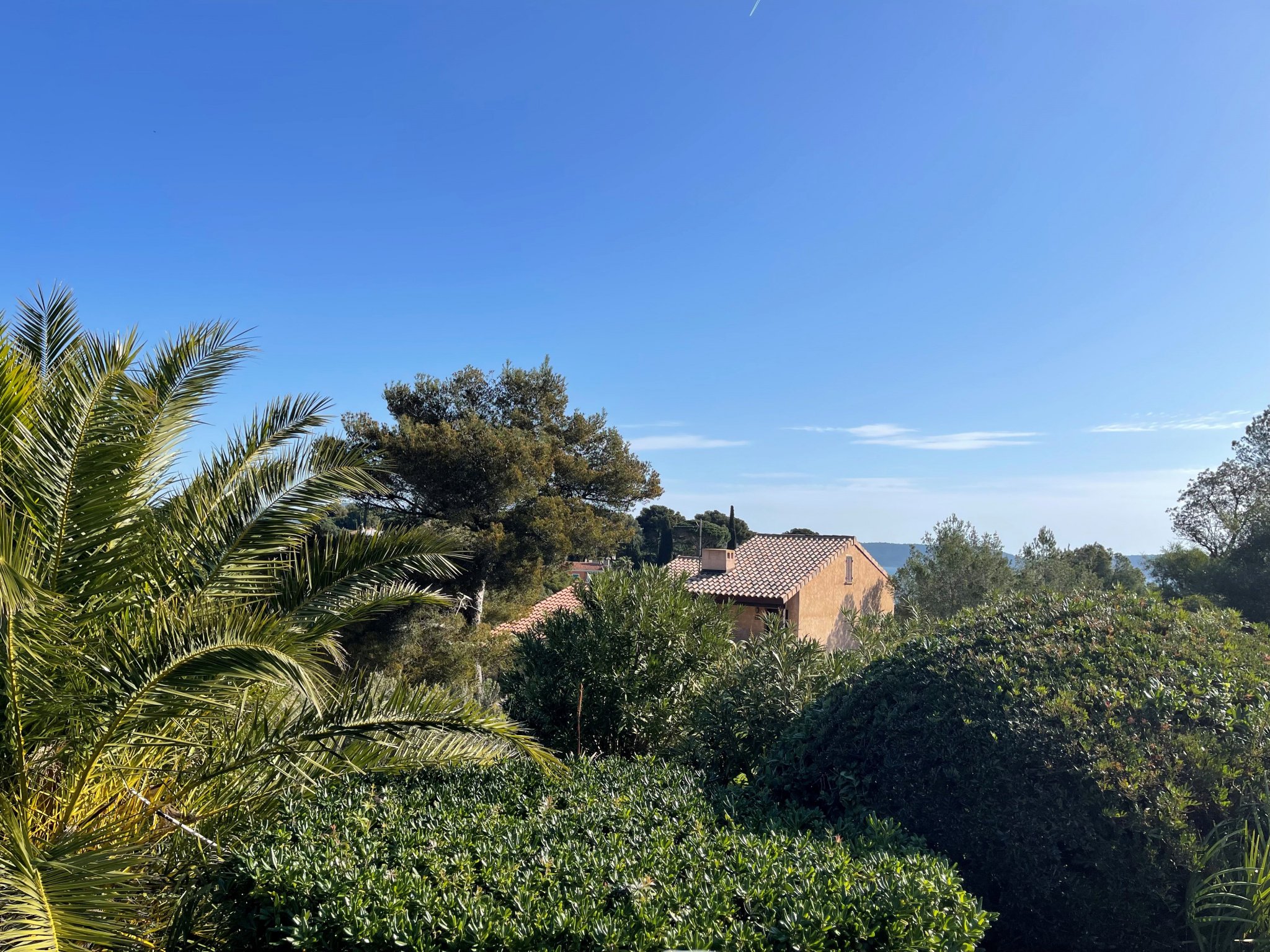 Maison 2 pièces - 46m² - CAVALAIRE SUR MER