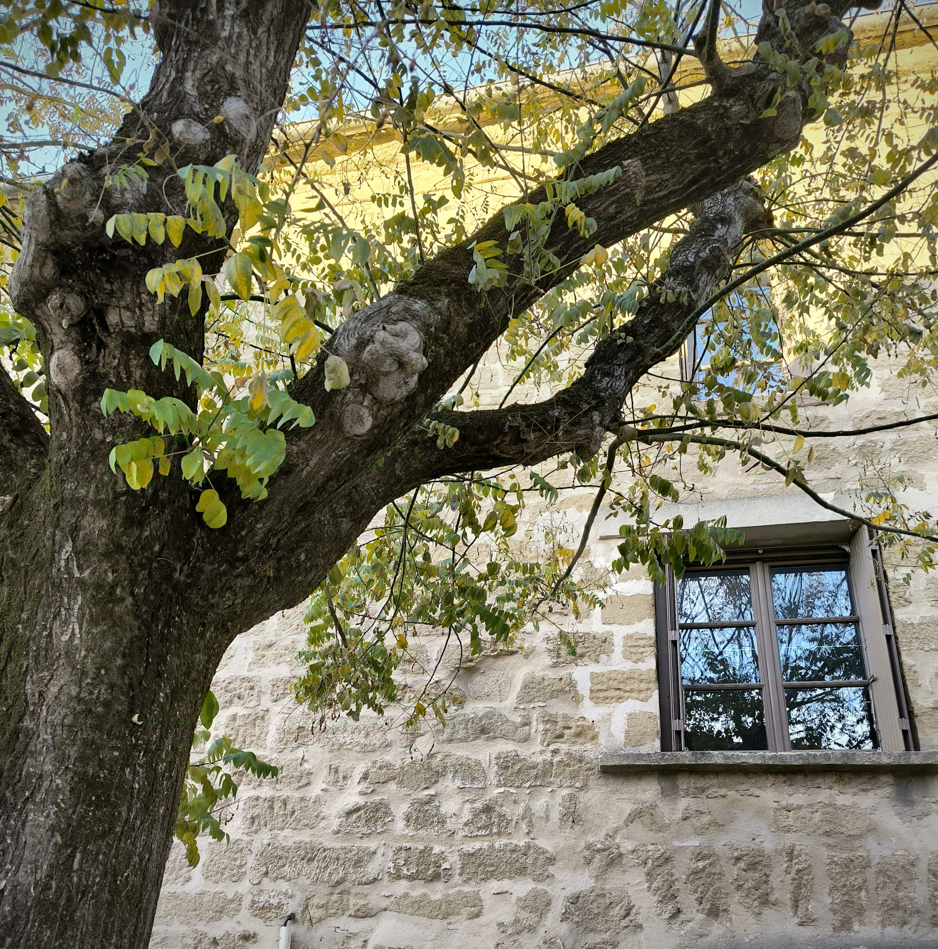 Maison 5 pièces - 127m² - ST QUENTIN LA POTERIE