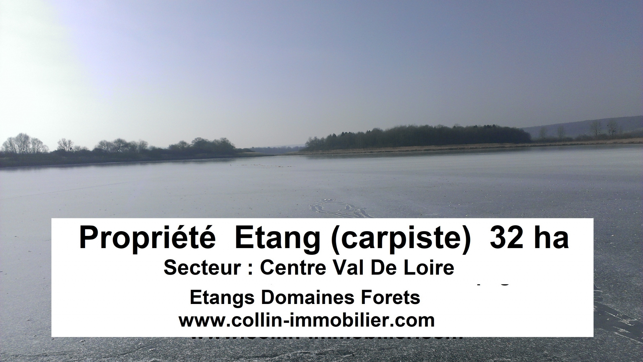 Terrain  - 330 000m² - MOULINS