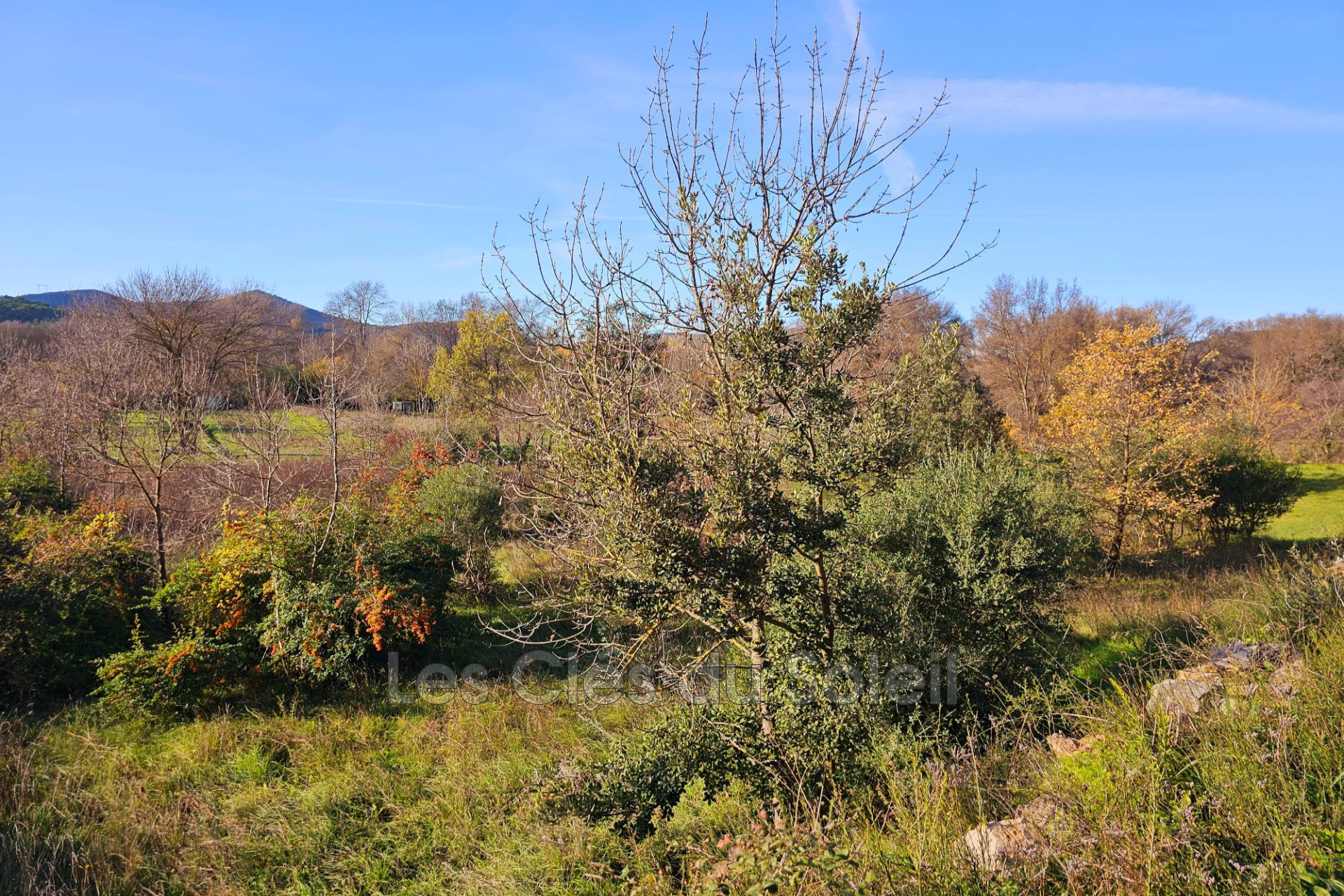 Terrain  - FLASSANS SUR ISSOLE