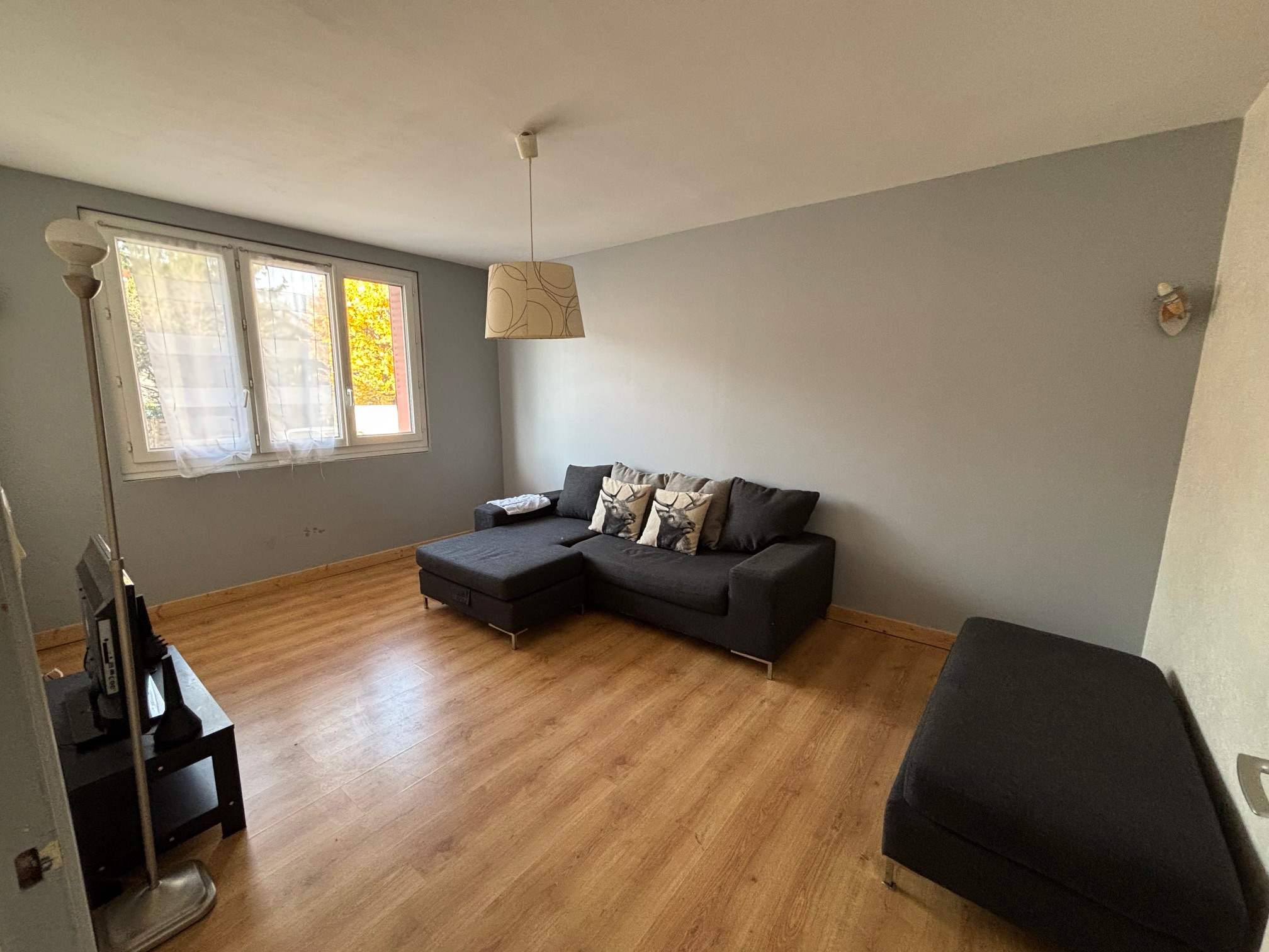 Appartement 3 pièces - 55m² - GRENOBLE