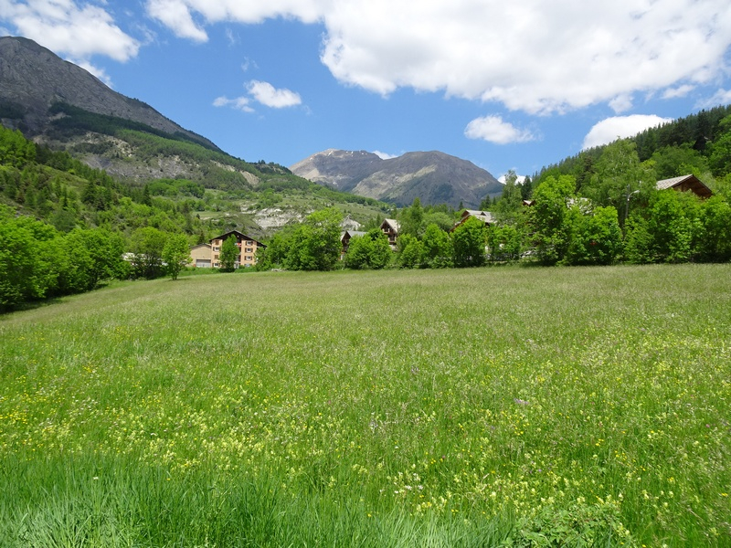 Terrain  - 512m²