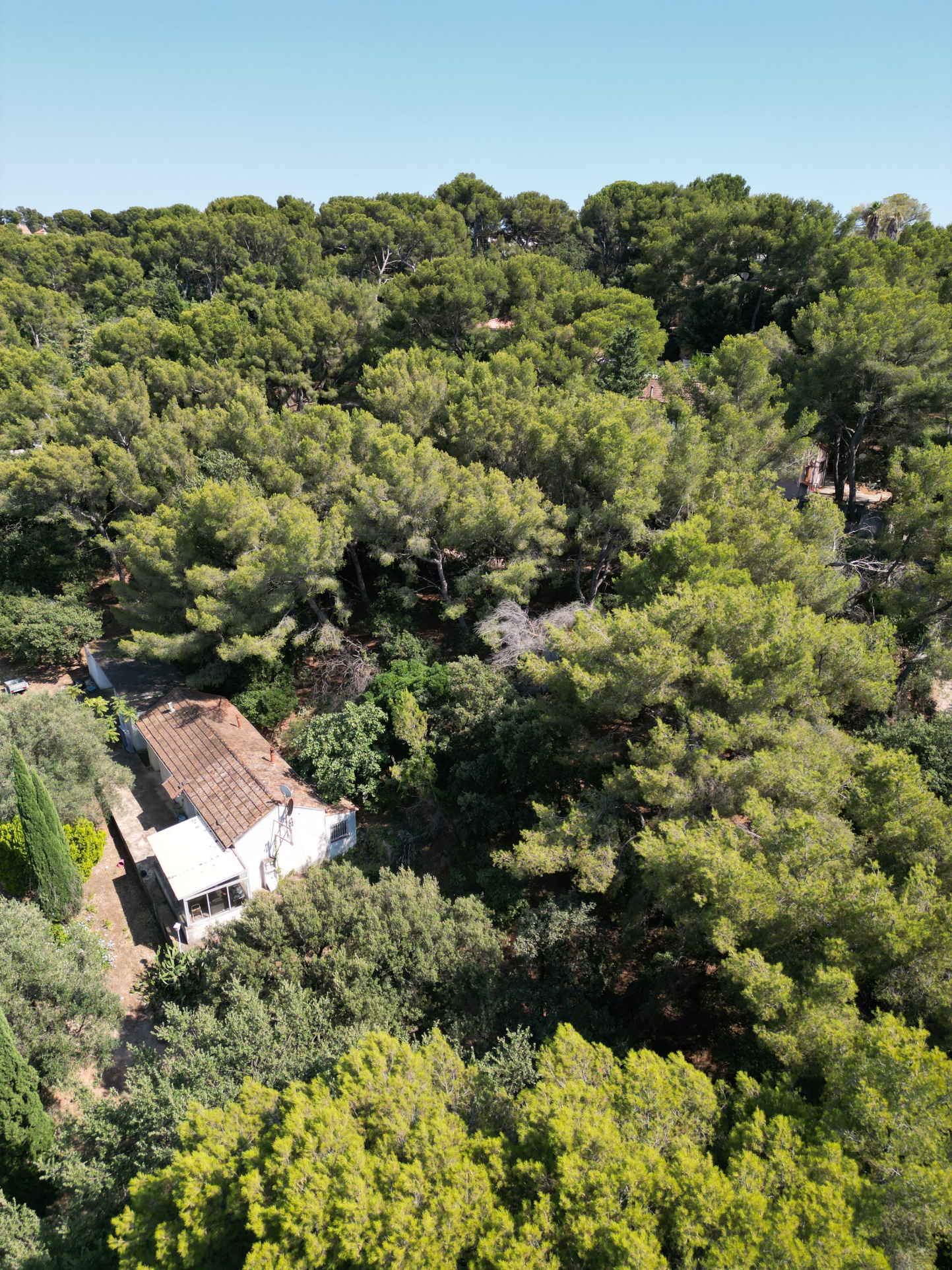 Terrain  - 1 998m² - LA VALETTE DU VAR