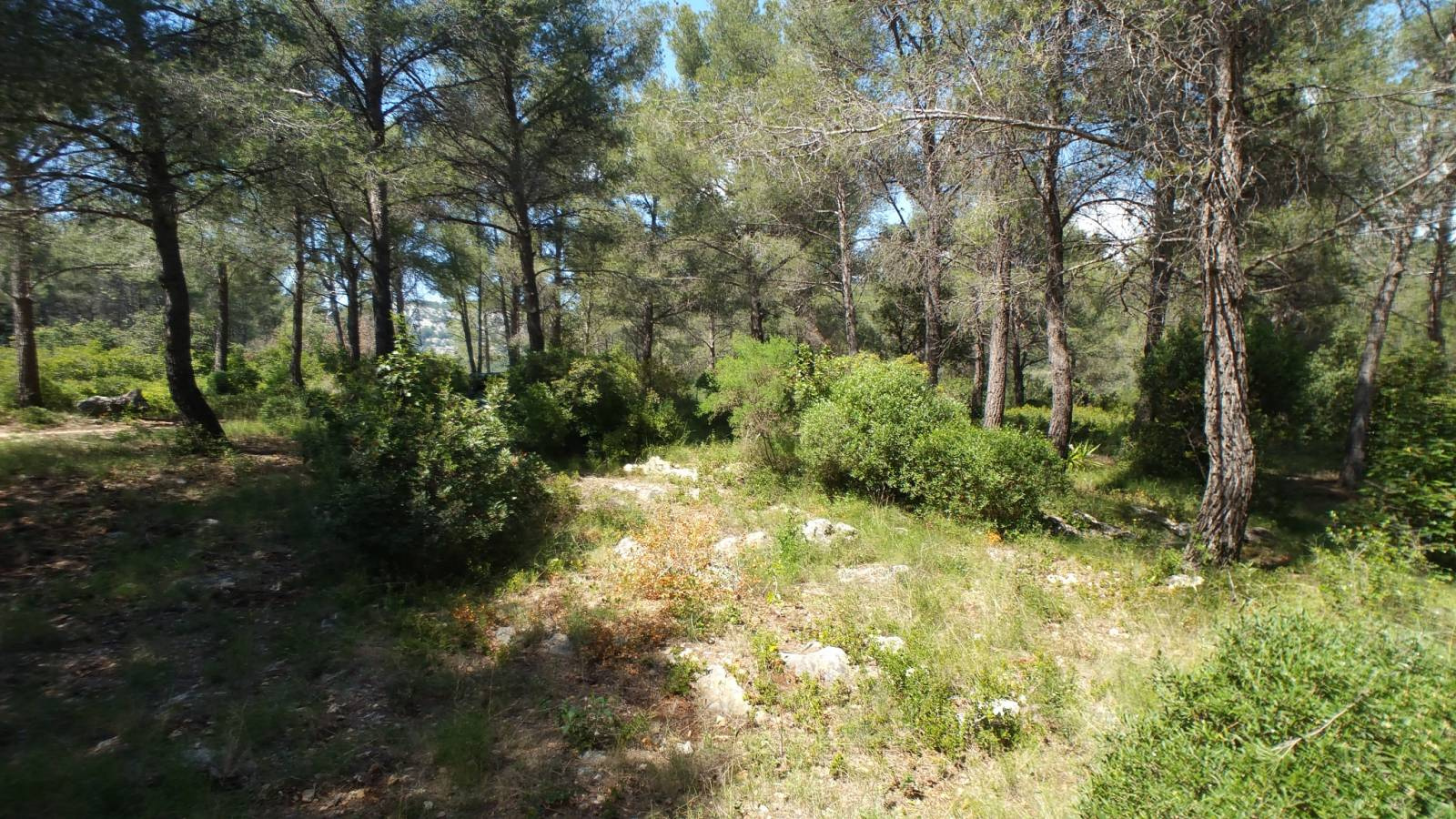 Terrain  - 38 000m² - OLLIOULES