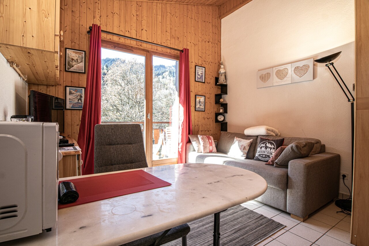 Appartement 1 pièce - 19m² - MORZINE