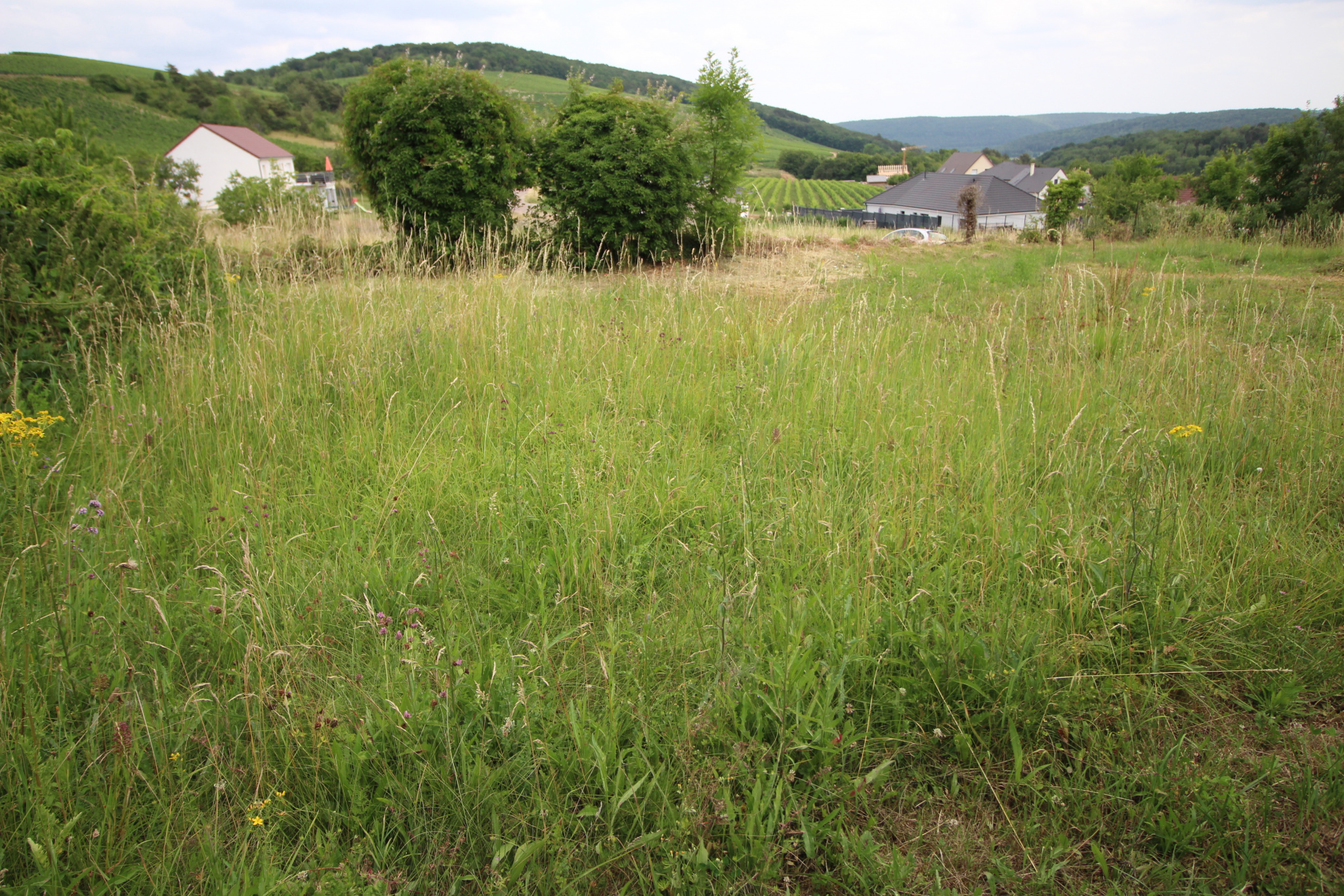 Terrain  - 707m² - CHEVANNES