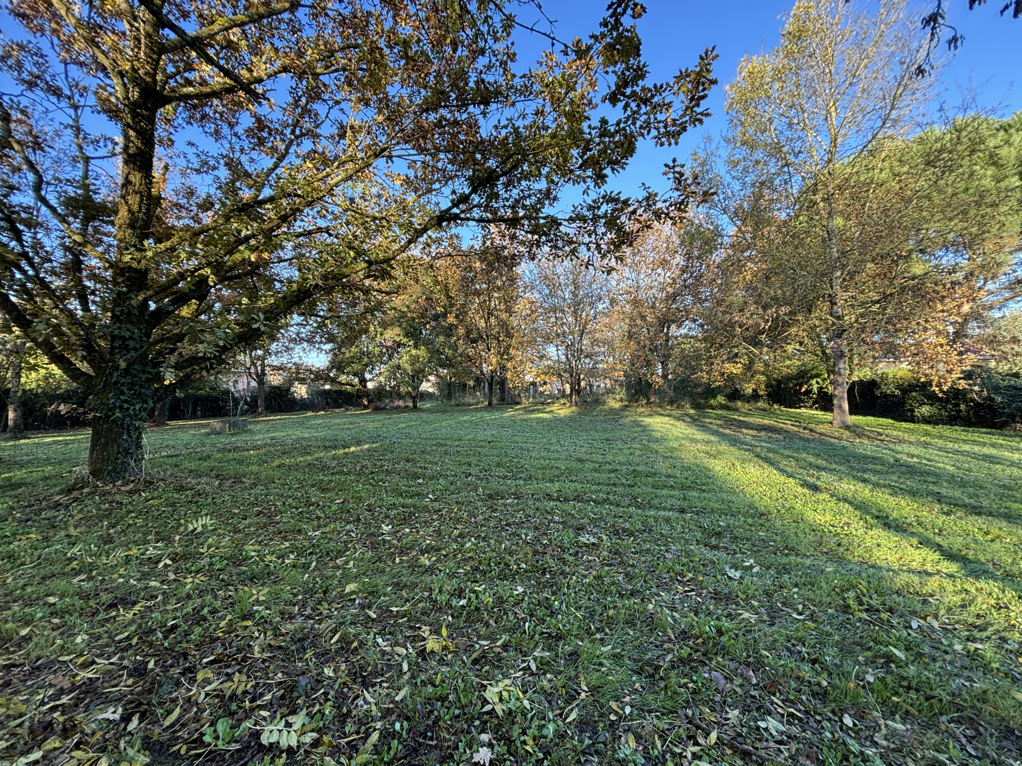 Terrain  - 1 600m² - LA VILLE DIEU DU TEMPLE