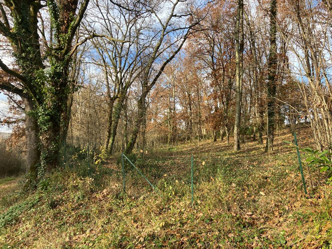 Terrain  - 1 515m² - CAHORS