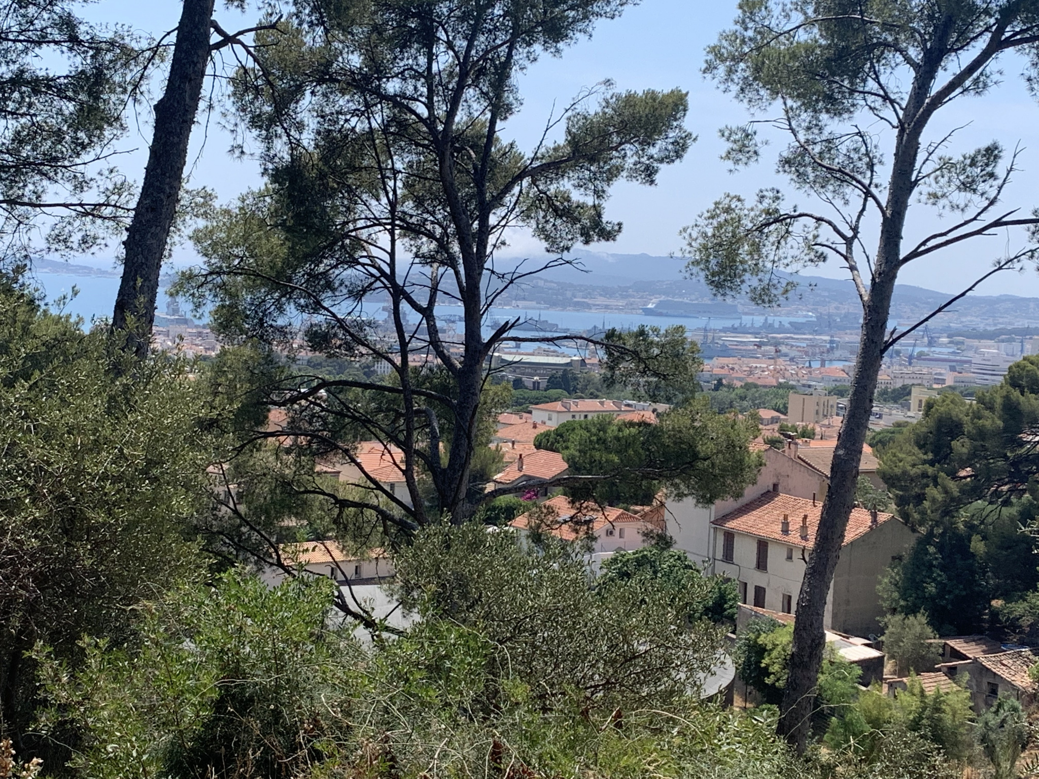 Terrain  - 4 560m² - TOULON