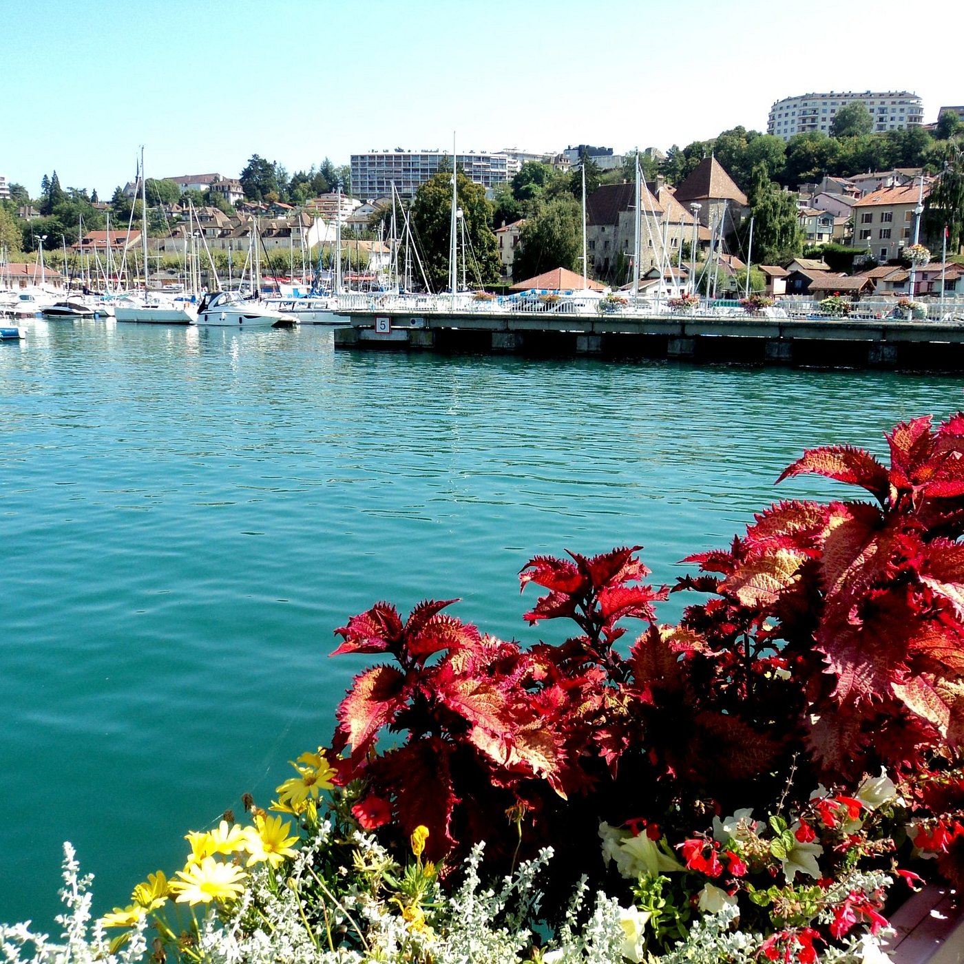 Fonds de commerce  - THONON LES BAINS