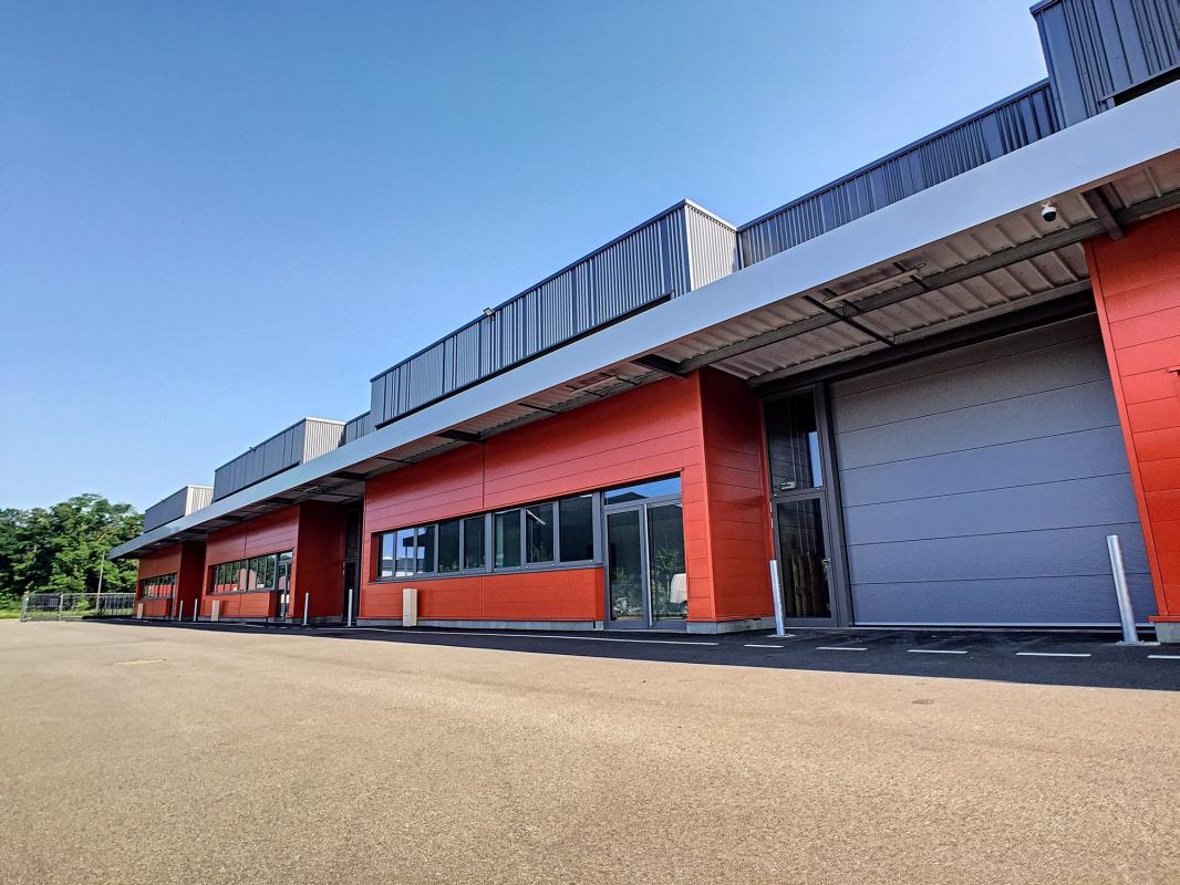 Local industriel  - 360m² - ESCHAU