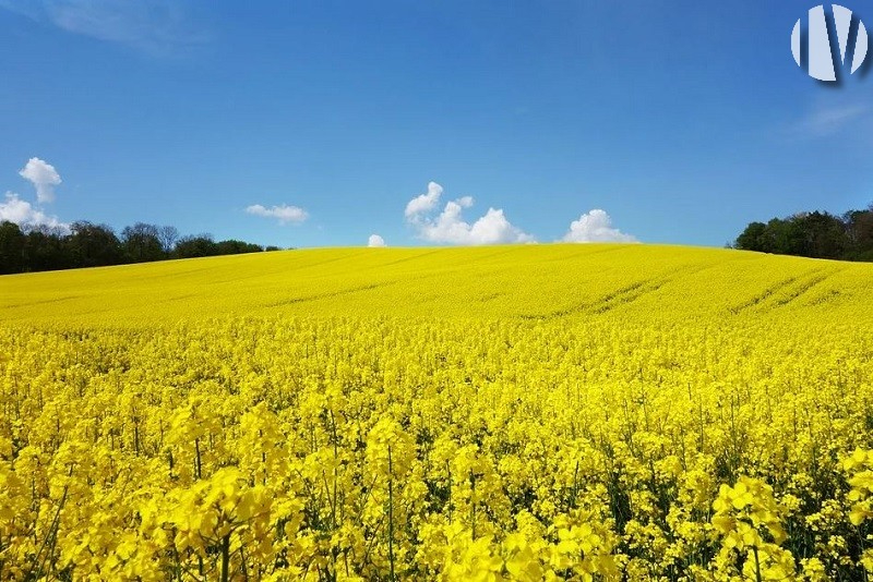 Agricole / Viticole 