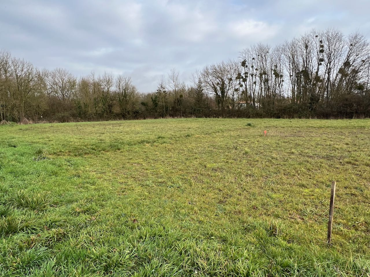 Terrain  - 353m² - STE HERMINE