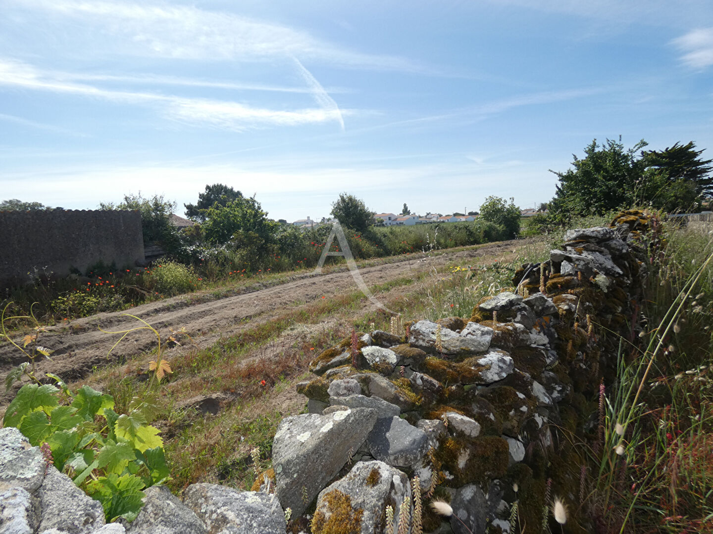 Terrain  - 873m² - NOIRMOUTIER EN L ILE