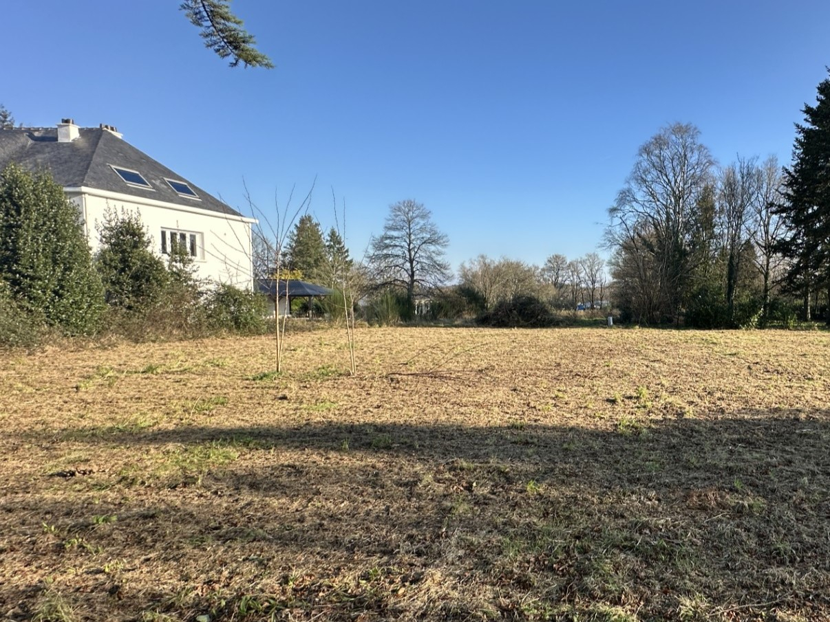 Terrain  - 775m²