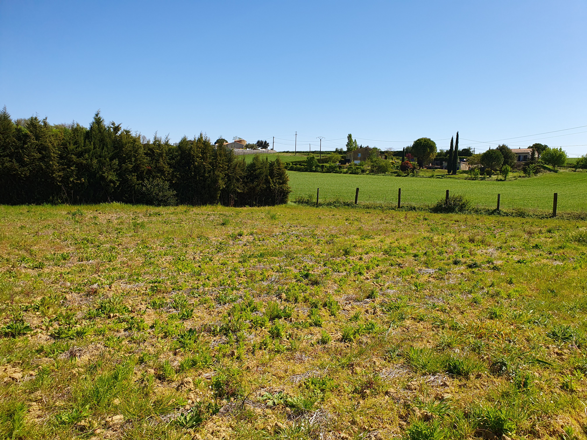 Terrain  - 1 361m² - CASTELNAUDARY