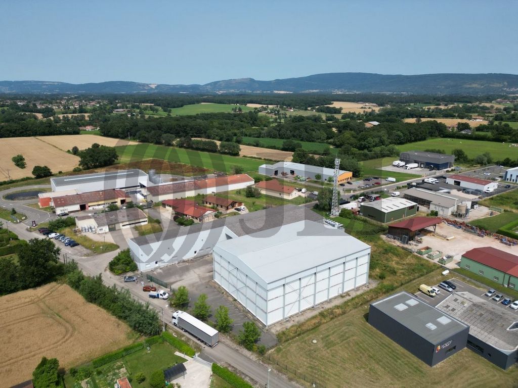 Local industriel  - 3 560m² - ST ETIENNE DU BOIS