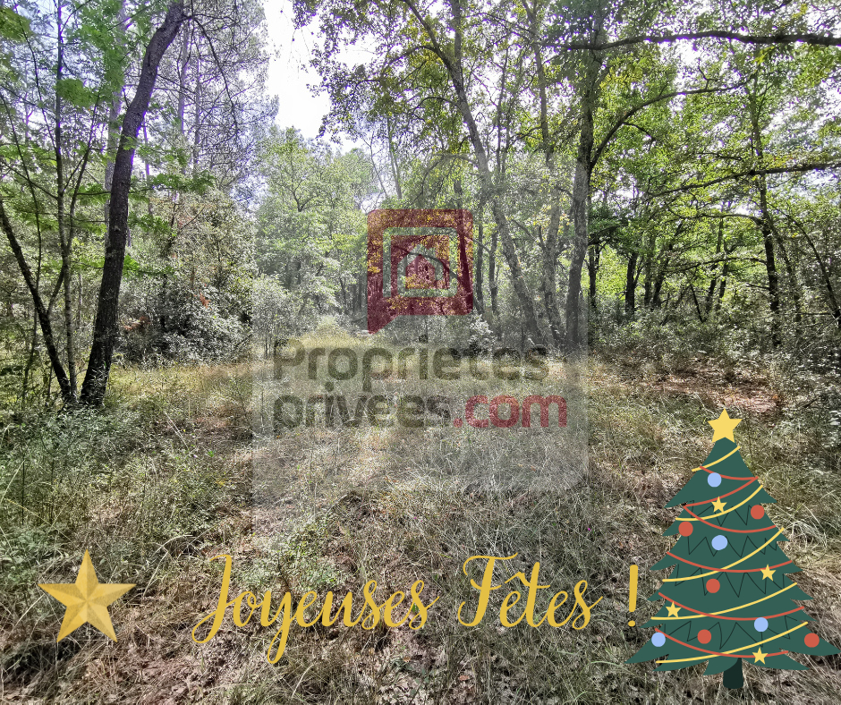 Terrain  - 7 500m² - TRANS EN PROVENCE