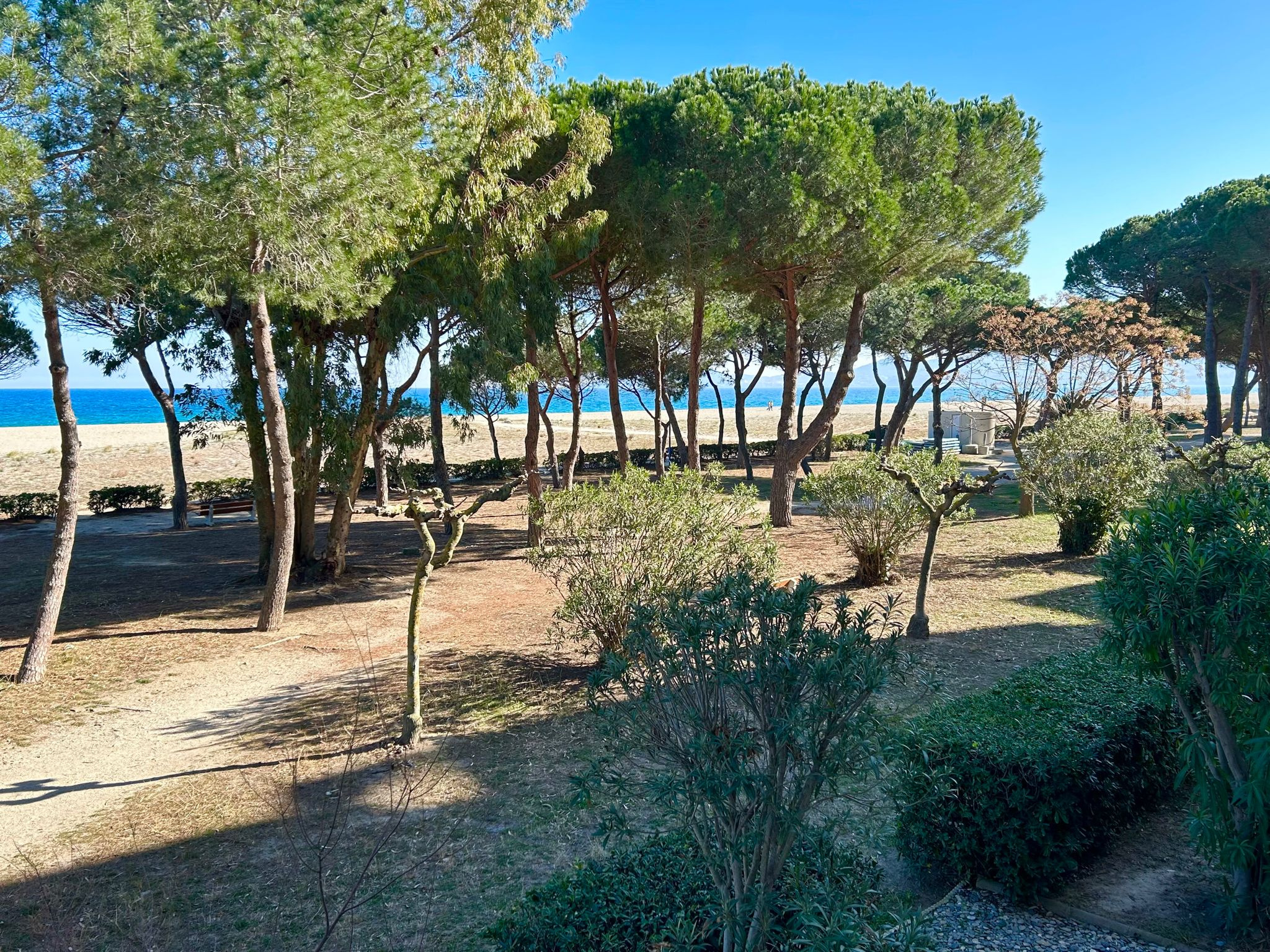 Appartement 2 pièces - 37m² - ARGELES PLAGE