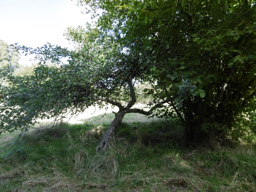 Terrain  - FLAVIGNY