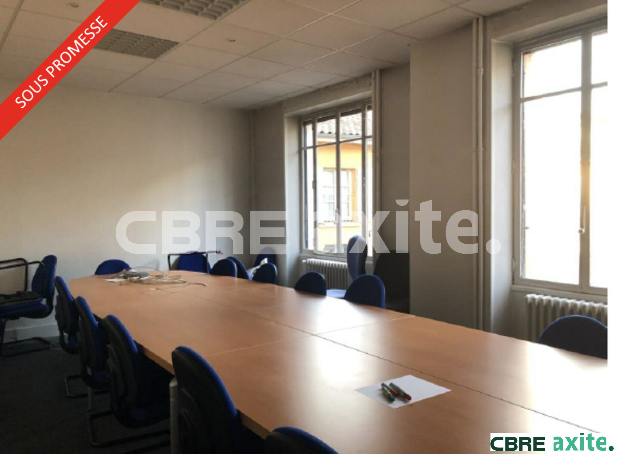 Local Professionnel  - 283m² - VIENNE