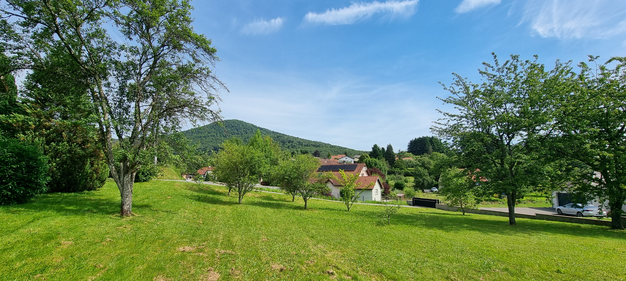 Terrain  - 1 000m² - PETITMAGNY