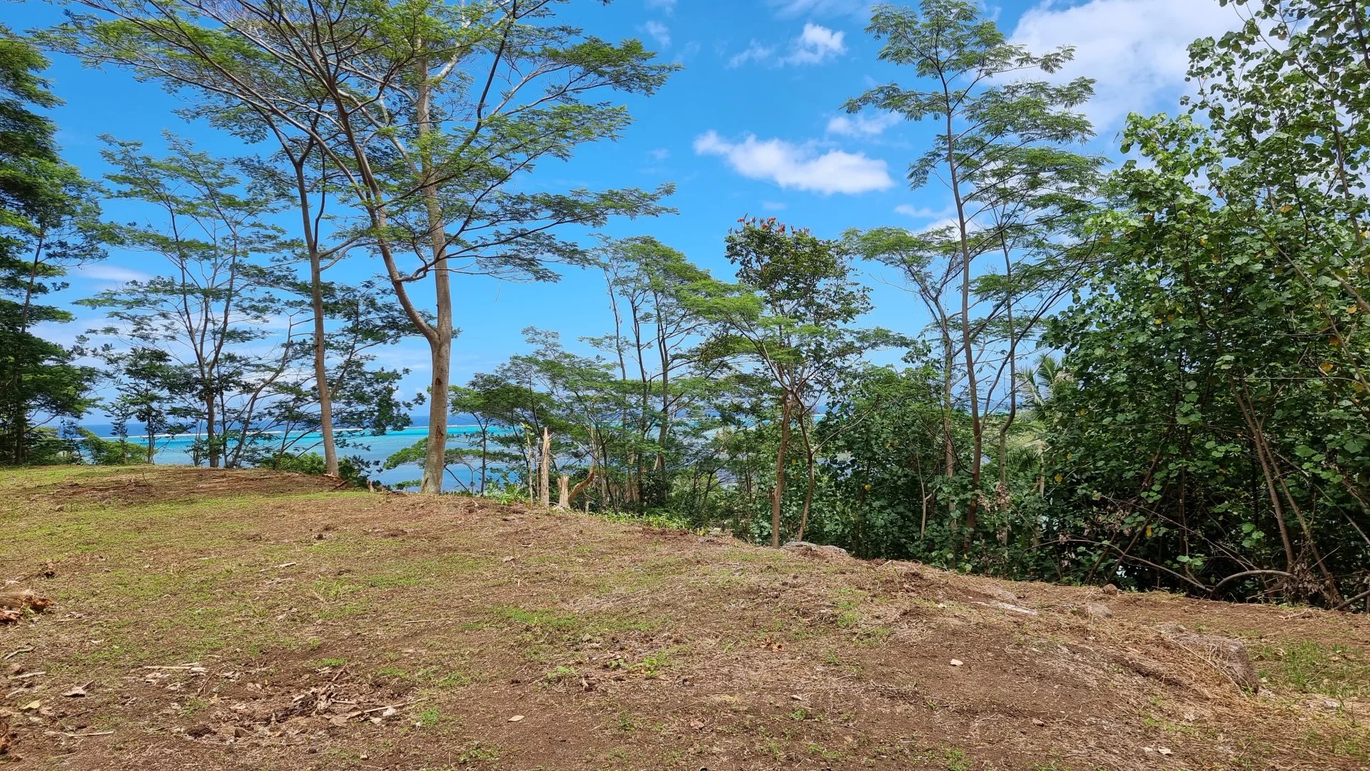 Terrain  - 1 700m² - MOOREA MAIAO