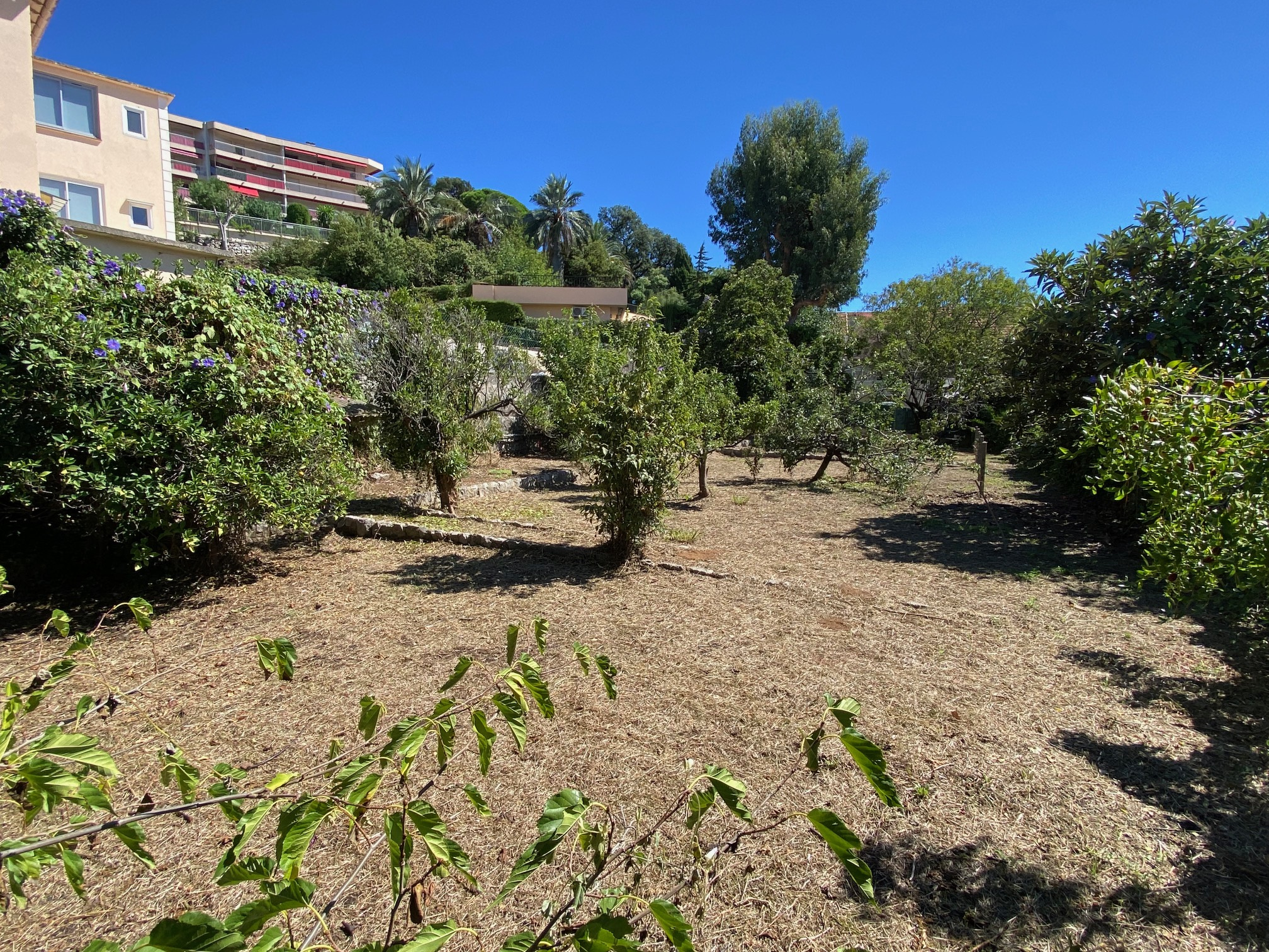 Terrain  - 608m² - CANNES