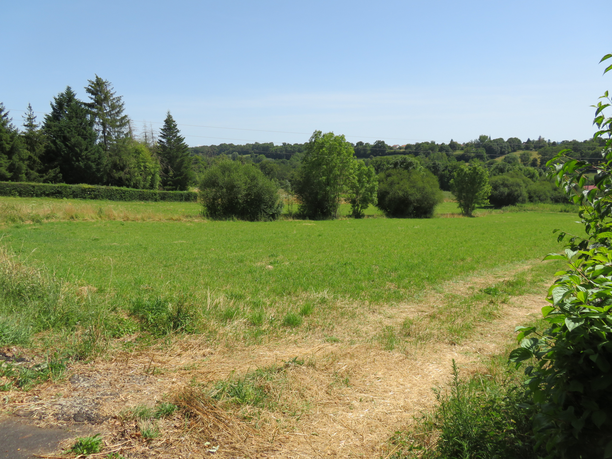 Terrain  - 13 062m² - BELLAC