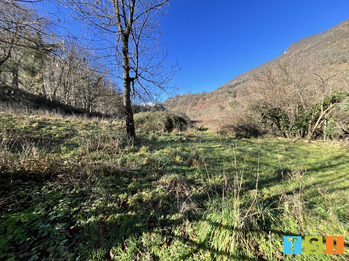 Terrain  - 1 709m² - MAULEON BAROUSSE