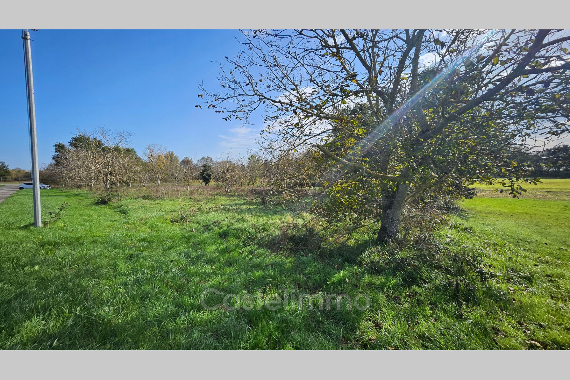 Terrain  - 5 928m² - CAUMONT