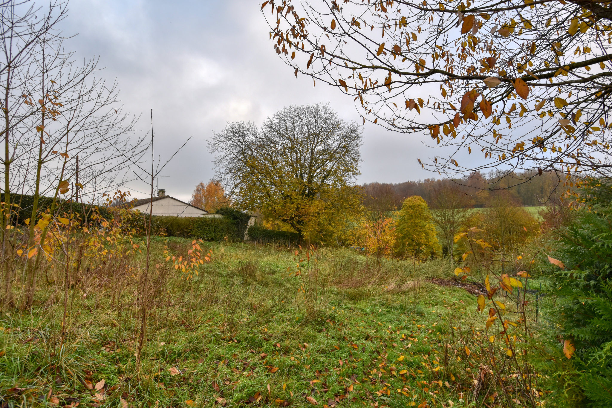 Terrain  - 882m² - POIX DE PICARDIE