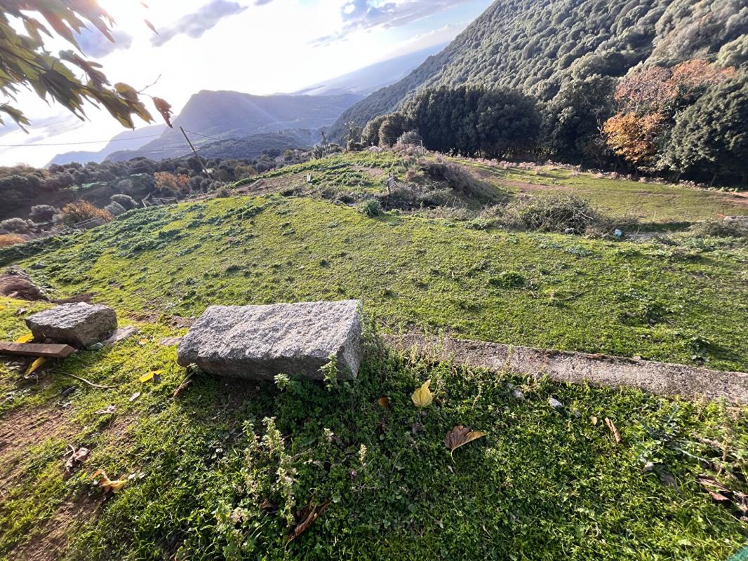 Terrain  - 654m² - SANTA MARIA FIGANIELLA