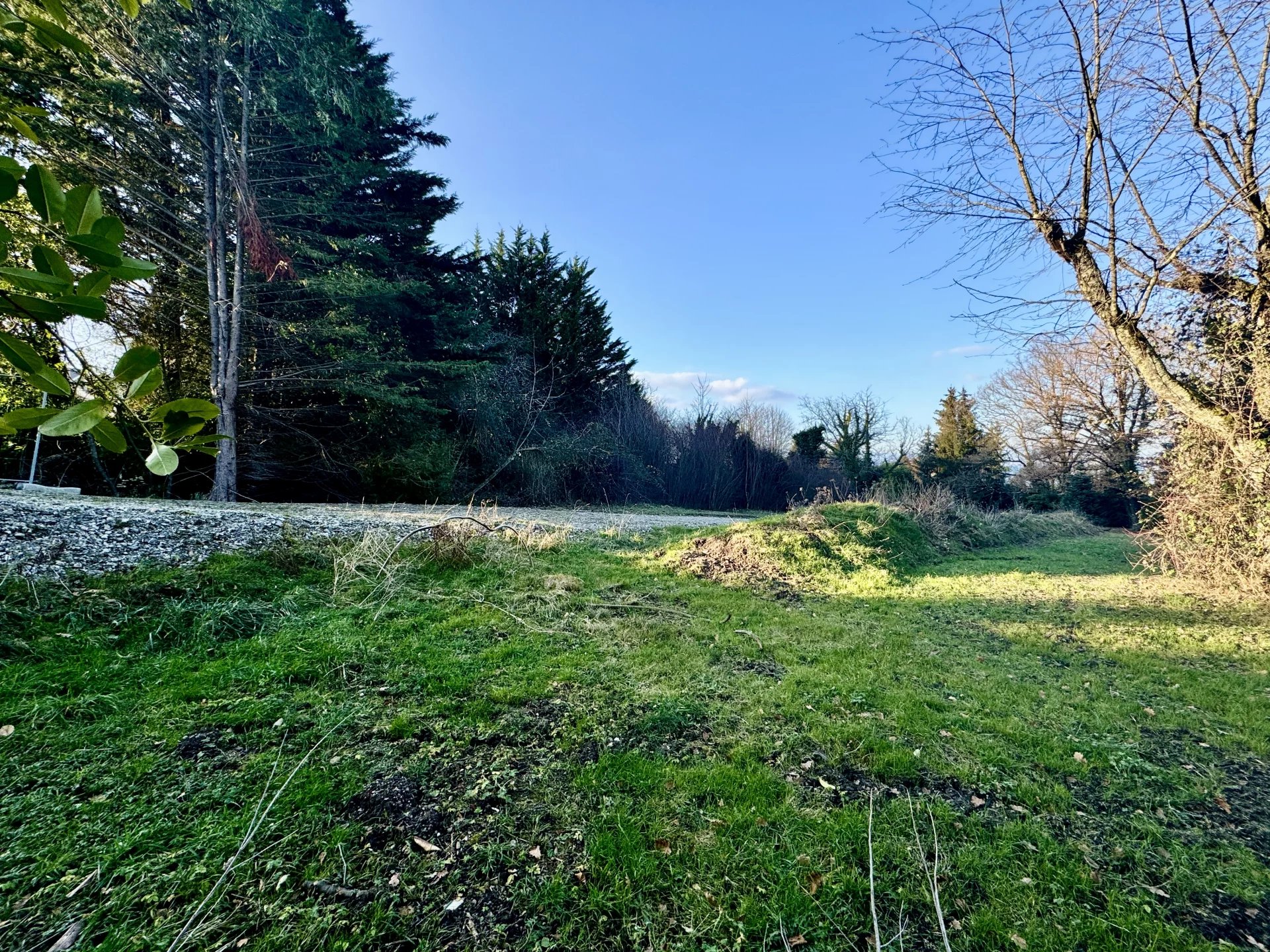 Terrain  - 566m² - NEUVECELLE