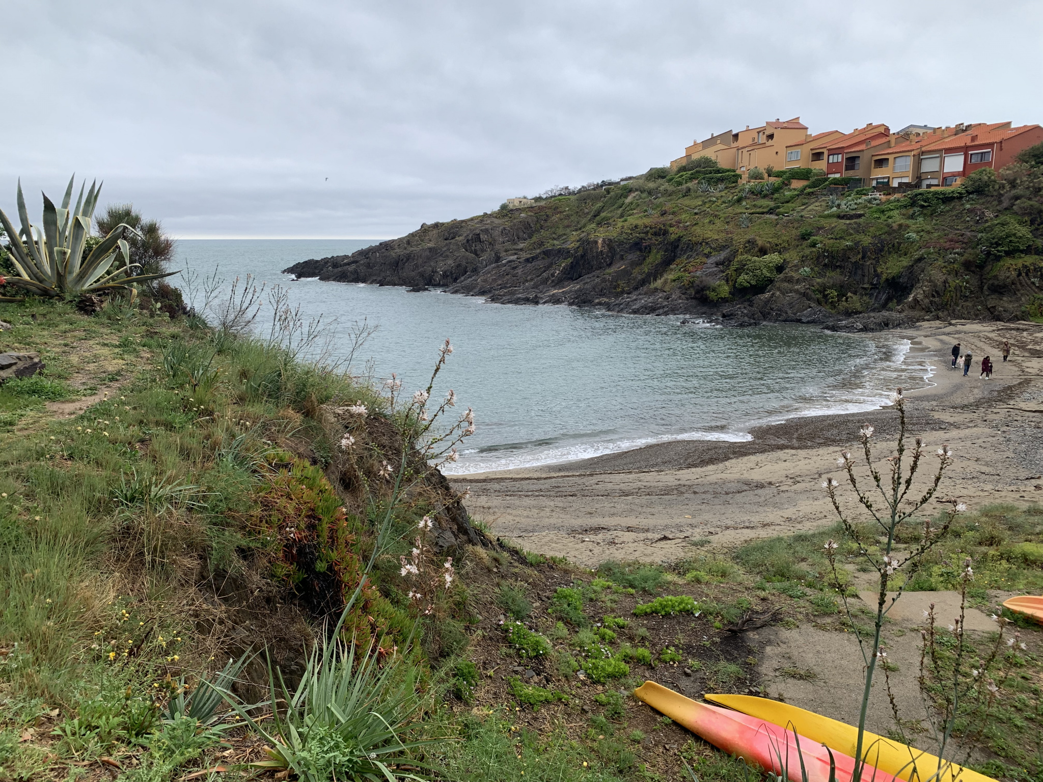 Appartement 2 pièces - 24m² - COLLIOURE