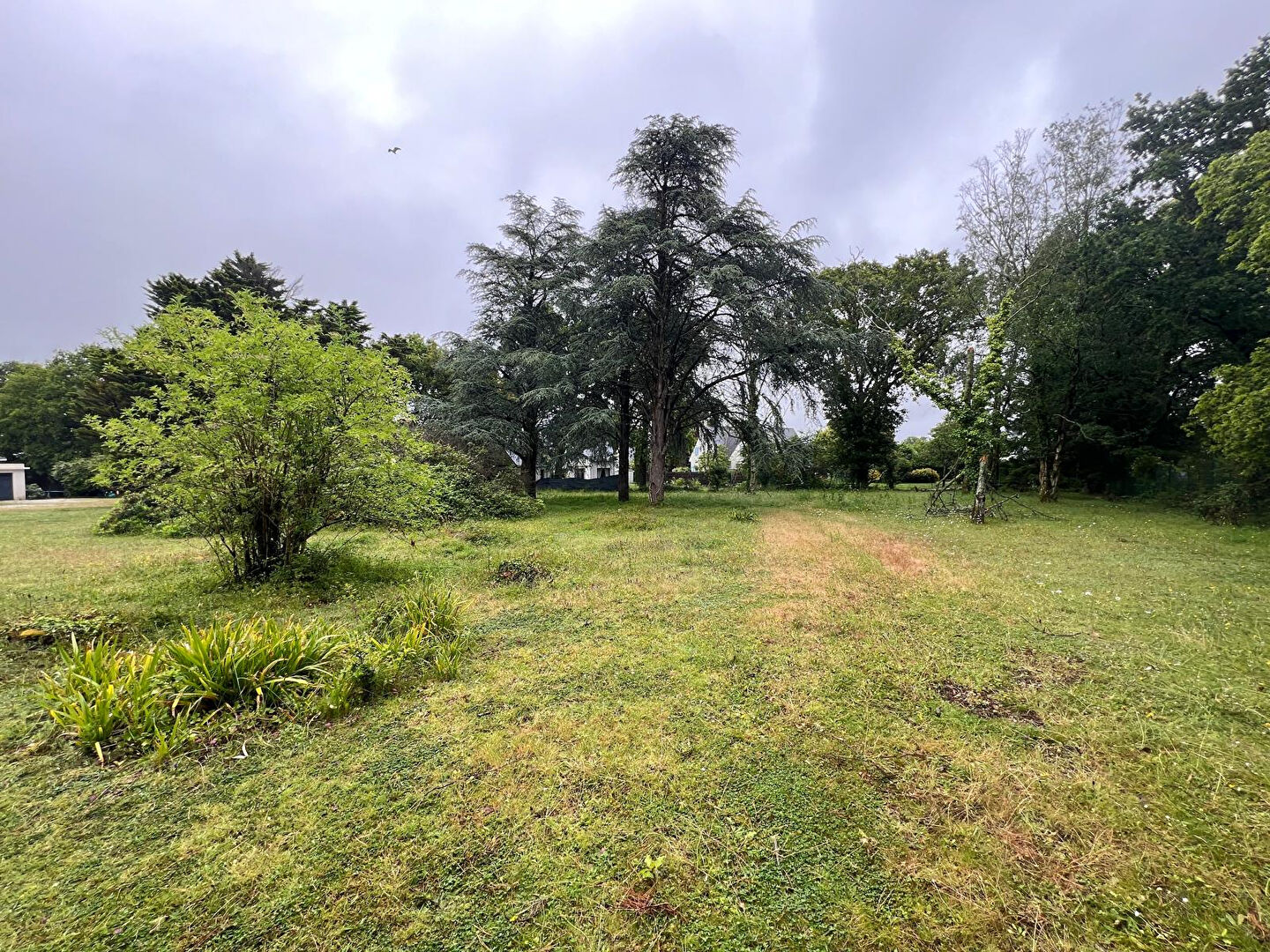 Terrain  - 1 425m²