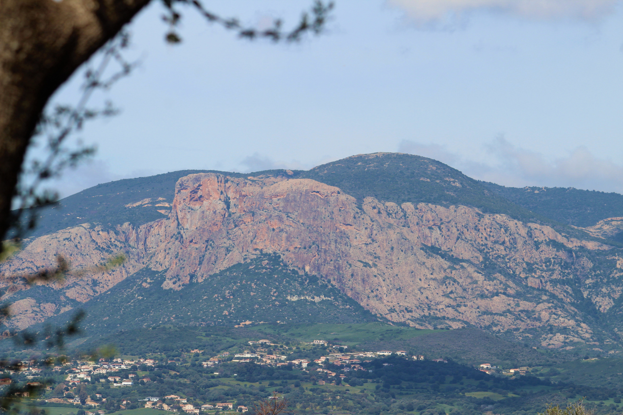 Terrain  - 1 980m² - AJACCIO