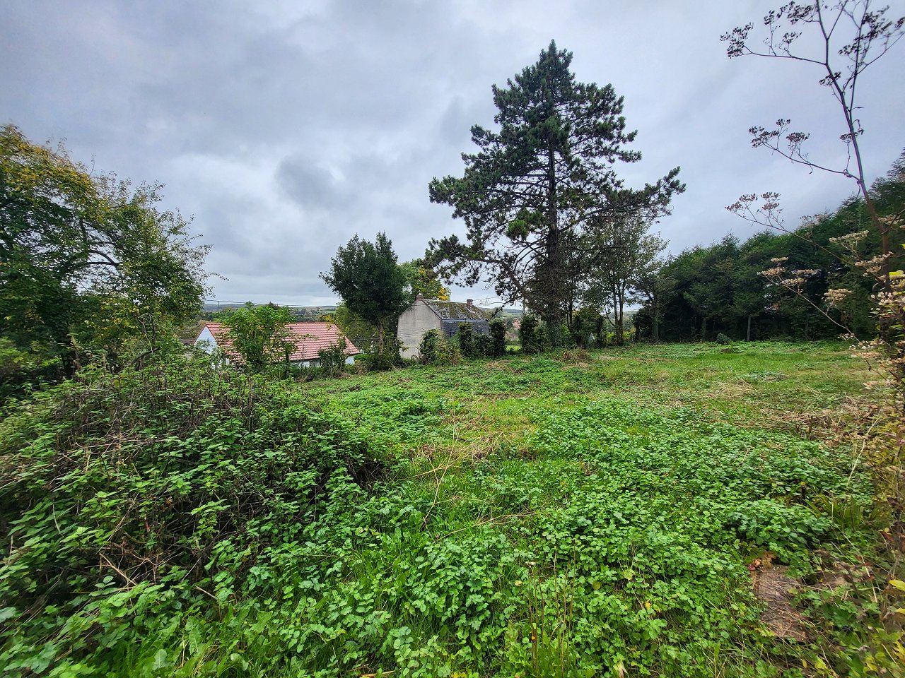 Terrain  - 1 178m²