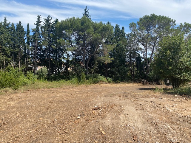 Terrain  - 420m²