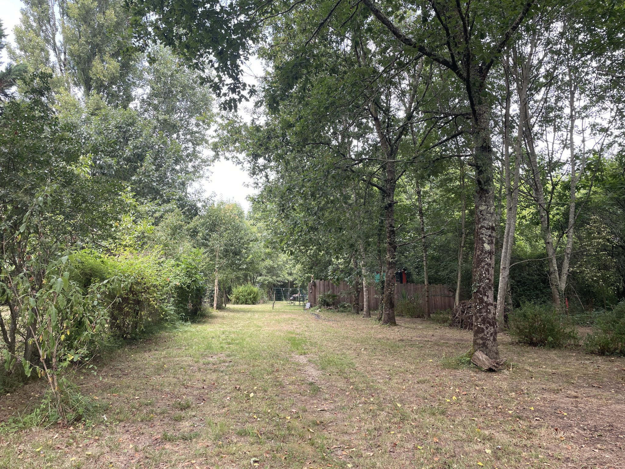 Terrain  - 6 500m² - GRIGNOLS