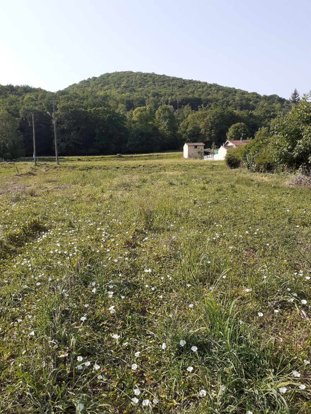 Terrain  - 1 600m² - ENCAUSSE LES THERMES